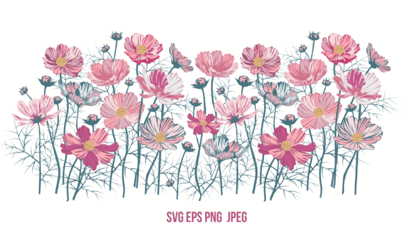 Creative Applications for the Flower Border Cosmos Graphic
