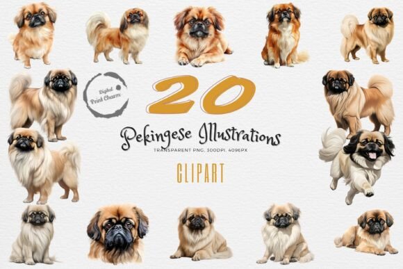 Regal Pekingese: 20 PNG Bundle for Creative Royalty