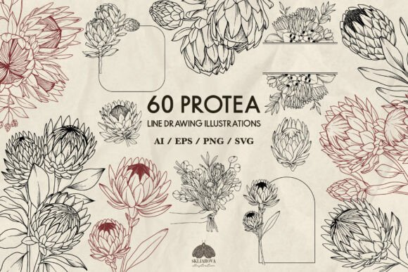 Stunning Protea Flowers Line Drawing SVG for Crafters