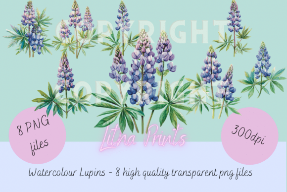 The Timeless Appeal of Watercolour Lupins
