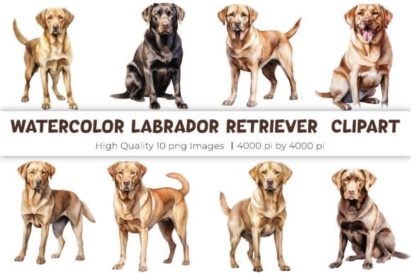 Unlock Creative Warmth with Watercolor Labrador Clipart